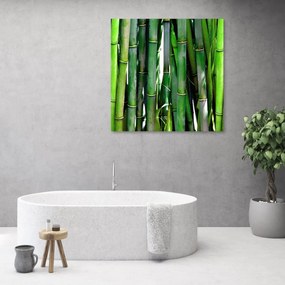 Obraz na plátně, Zelený bambus - 60x60 cm
