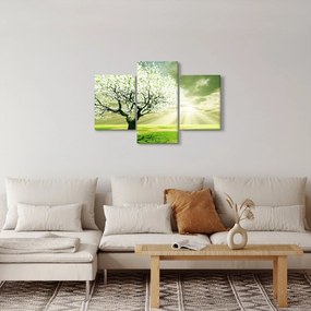 Obraz stromu na lúke (90x60 cm)