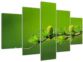 Obraz zelenej šišky (150x105 cm)