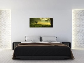 Obraz - Prebúdzajúci sa les (120x50 cm)
