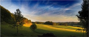 Obraz - Horská lúka (120x50 cm)