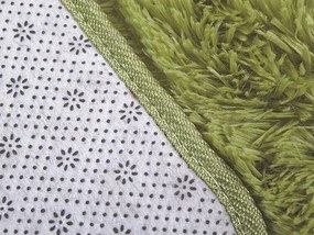 TZ Zelený obdĺžnikový shaggy koberec Lana Rozmer: 120x170