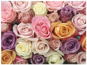 Artgeist Fototapeta - Pastel roses Veľkosť: 200x154, Verzia: Standard