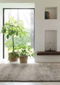 Osta, Kusový koberec Lana 0301 910, 200x250, hnedá, obývacia izba