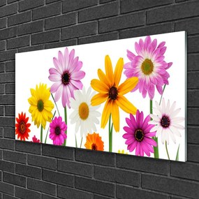 Skleneny obraz Farebné kvety príroda 140x70 cm