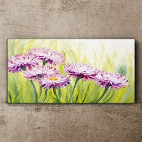 Obraz canvas Kvety rastlín trávy
