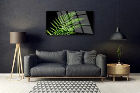 Skleneny obraz Sladič papradie listy 100x50 cm