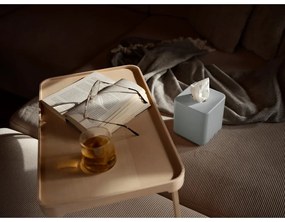 Plastový box na vreckovky Ume – Zone