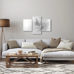 Obraz - Jemná ľalia (90x60 cm)