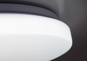 Rabalux 71442 - LED stmievateľné stropné svietidlo DANNY 2 LED/34W/230V 3000-6500K pr. 38 cm + diaľkové ovládanie