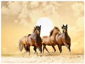 Artgeist Fototapeta - Running horses Veľkosť: 392x309, Verzia: Samolepiaca