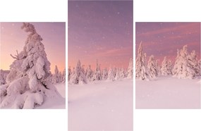 Obraz - Stromy pod snehovou prikrývkou (90x60 cm)