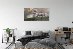 Obraz plexi Unicorn mraky 125x50 cm