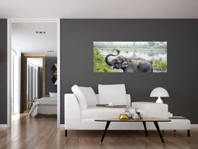 Obraz - Kúpajúci sa slon (120x50 cm)