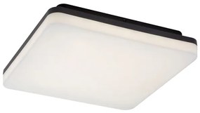 Rabalux 7250 - LED kúpeľňové stropné svietidlo PERNIK LED/24W/230V IP54