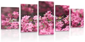 5-dielny obraz detailné kvety čerešne Varianta: 100x50