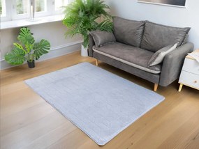 TZ Sivý obdĺžnikový koberec 3D Rabbit Rozmer: 80x150