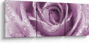 Obraz detailu kvetu ruže (s hodinami) (90x30 cm)