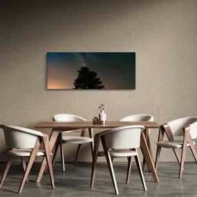 Obraz nočnej oblohy so stromami (120x50 cm)