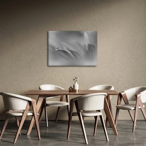 Obraz - Kvapka na kvete, čiernobiela (70x50 cm)