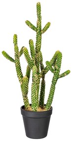 Gasper Umelý kaktus Euphorbia, 45 cm