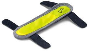 LED svietiaci obojok pre psa