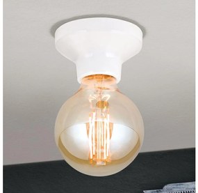 Orion - Stropné svietidlo FROST 1xE27/60W/230V biela