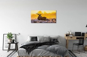 Obraz na plátne Jeleň zimné slnko 140x70 cm