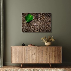 Obraz listu na kmeni stromu (90x60 cm)