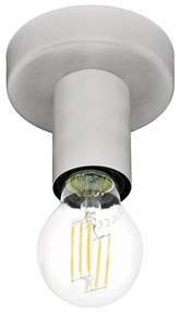 Eglo 64106 - Stropné svietidlo IGUALA 1xE27/40W/230V šedá