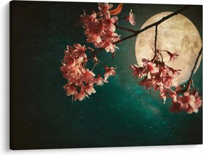 Obraz - Sakura v splne (70x50 cm)
