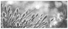 Obraz - Béžová soft grass N⁰1 (120x50 cm)