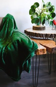 Krásna mäkká smaragdovozelená deka Šírka: 200 cm | Dĺžka: 220 cm