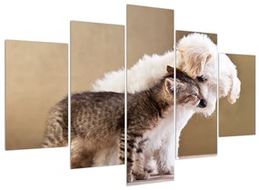 Obraz mačky so psom (150x105 cm)