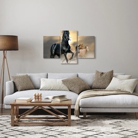 Obraz - Kone (90x60 cm)