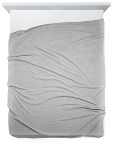 Dekorstudio Deka CINDY3 v striebornej farbe farbe Rozmer deky: 200x220cm