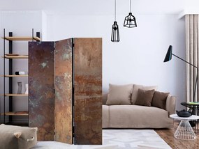 Artgeist Paraván - Rusty Plate [Room Dividers]
