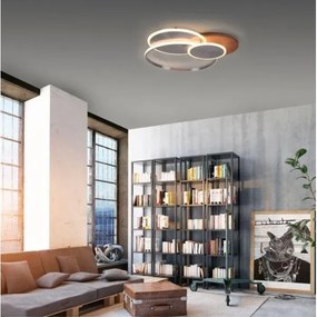Paul Neuhaus 8328-79 - LED Stmievateľné stropné svietidlo PALMA LED/50W/230V + DO