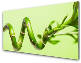 Obraz plexi Bambus rastlina príroda 140x70 cm