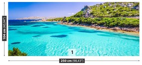Fototapeta Vliesová Sardínia mora 152x104 cm