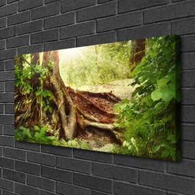 Obraz Canvas Strom kmeň príroda les 140x70 cm