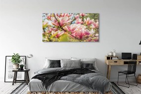 Obraz plexi Ružová magnólia 140x70 cm