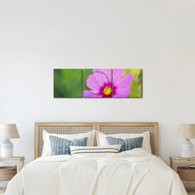 Obraz - lúčna kvetina (s hodinami) (90x30 cm)