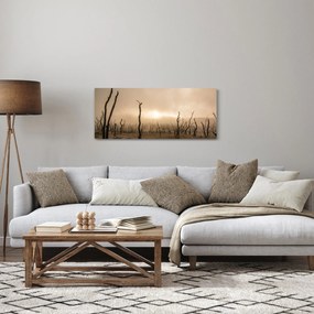 Obraz - Holé stromy (120x50 cm)