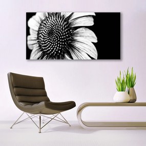 Obraz na akrylátovom skle Kvet rastlina príroda 120x60 cm