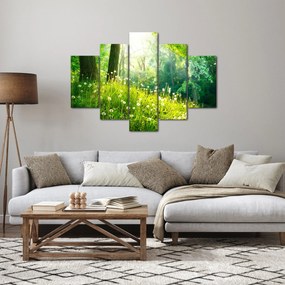 Obraz - Magická lúka plná púpav (150x105 cm)