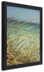 Gario Plagát Zelené trávy na pozadí mora Farba rámu: Čierna, Rozmery: 20 x 30 cm