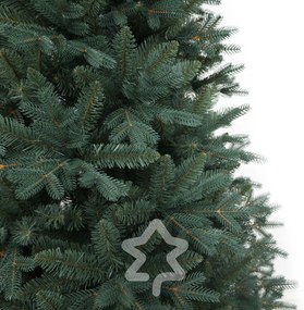 Smrek Strieborný 180 cm
