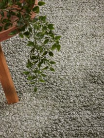 Koberec Ted Baker Notting Hill Portobello Green