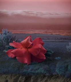 Umelecká tlač Surreal Giant flower rose, Vizerskaya, (35 x 40 cm)